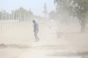 Lee más sobre el artículo Anuncian alerta por fuertes vientos en distintas zonas de la provincia