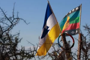 Lee más sobre el artículo 12 de octubre: Día del Respeto a la Diversidad Cultural