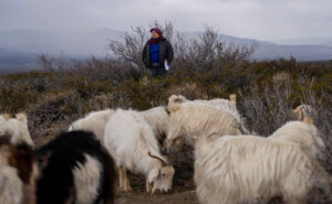 Lee más sobre el artículo Mujeres rurales de toda la provincia se reúnen en San Martín de los Andes
