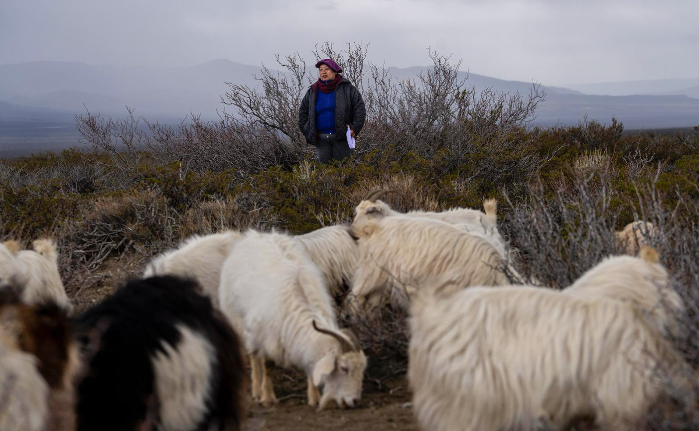 En este momento estás viendo Mujeres rurales de toda la provincia se reúnen en San Martín de los Andes