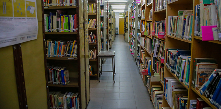 Lee más sobre el artículo Neuquén tendrá una Tecnicatura Superior en Bibliotecología