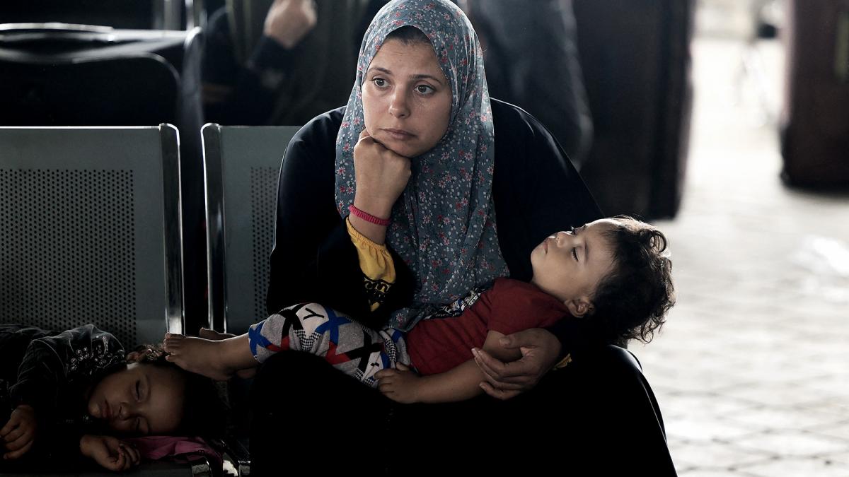 En este momento estás viendo Otro grupo de extranjeros fue evacuado desde la Franja de Gaza a Egipto