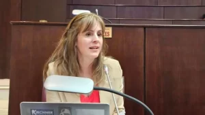 Lee más sobre el artículo Lorena Parrilli: “Aunque aprobamos los presupuestos, no convalidamos lo escrito, porque es la misma configuración para rubros críticos que los presupuestos de años anteriores”