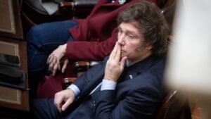 Lee más sobre el artículo La Justicia advirtió que Milei no entregó la suficiente cantidad de boletas