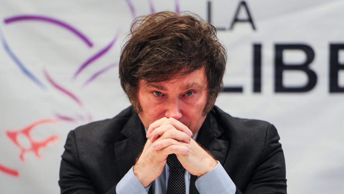 En este momento estás viendo Polémica en las filas de Milei por el anuncio del portazo de varios legisladores