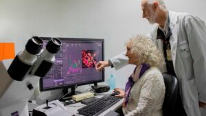 Lee más sobre el artículo «Nernst»: un biosensor que determina la energía en bacterias, plantas y animales