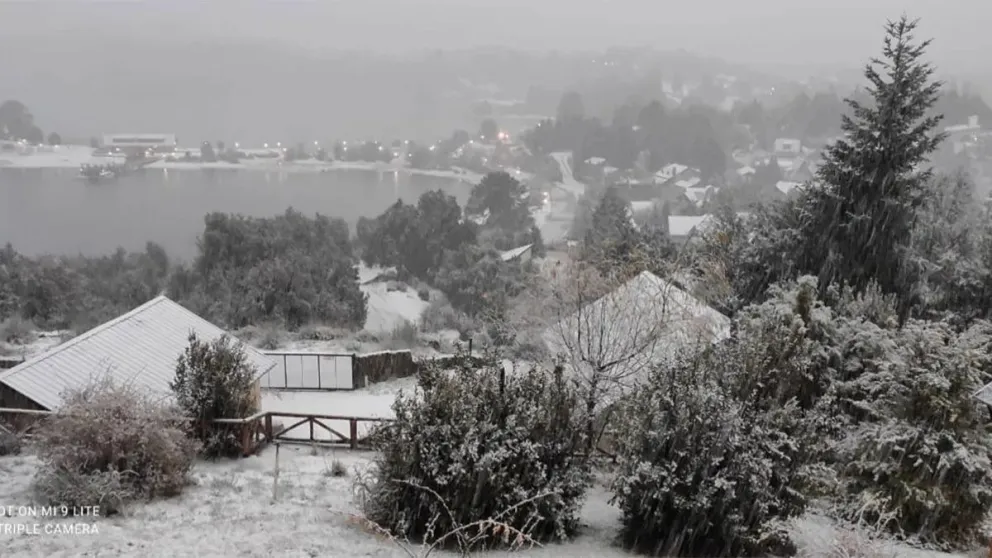 En este momento estás viendo Vecinos de Pehuenia exigen rebajar el costo de la eléctricidad en zonas que carecen a la red de gas natural