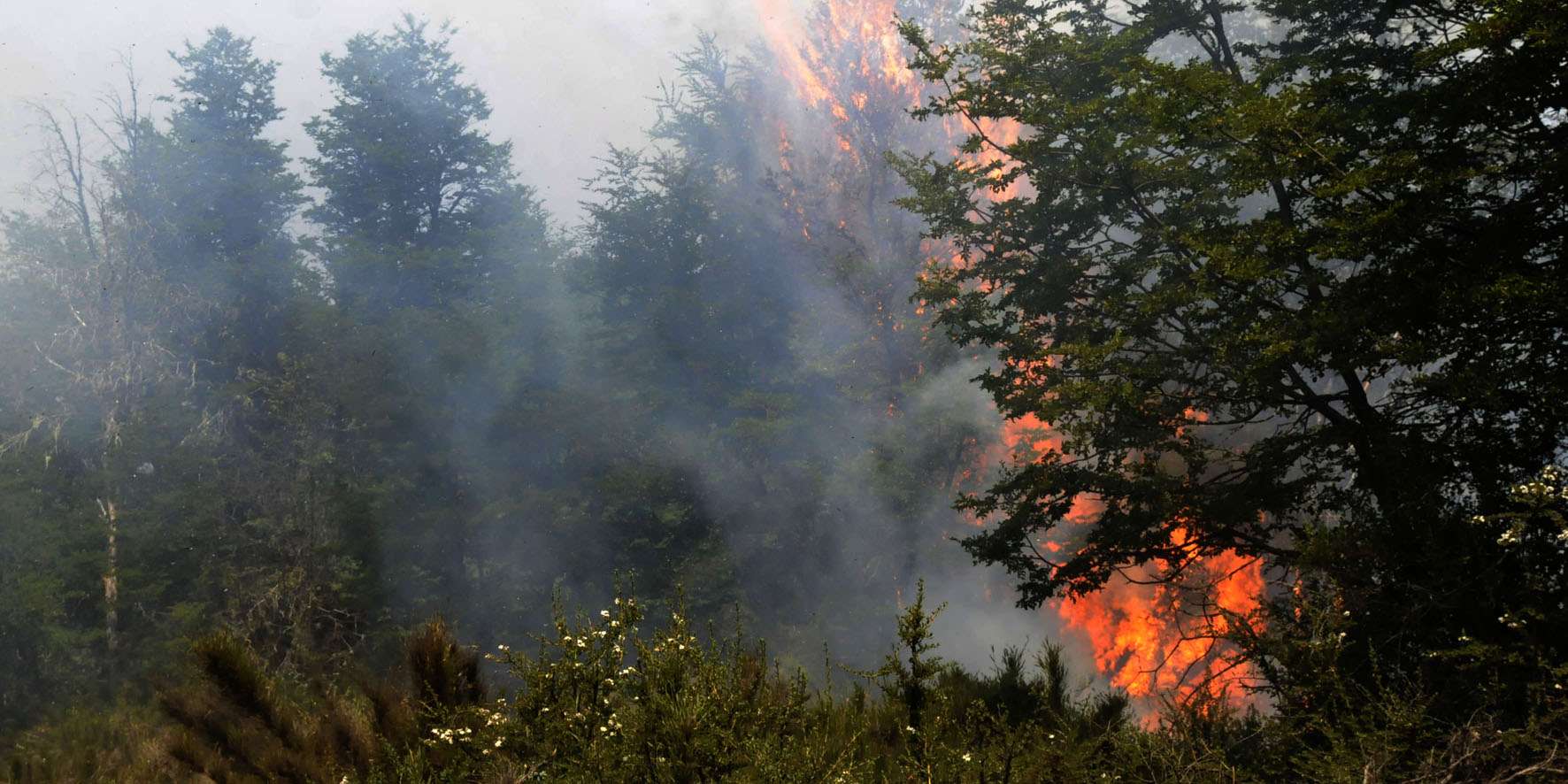 En este momento estás viendo Brigadistas de la provincia combaten un incendio en Ñorquinco