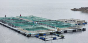 Lee más sobre el artículo Neuquén celebró la apertura de nuevos mercados para truchas y almendras