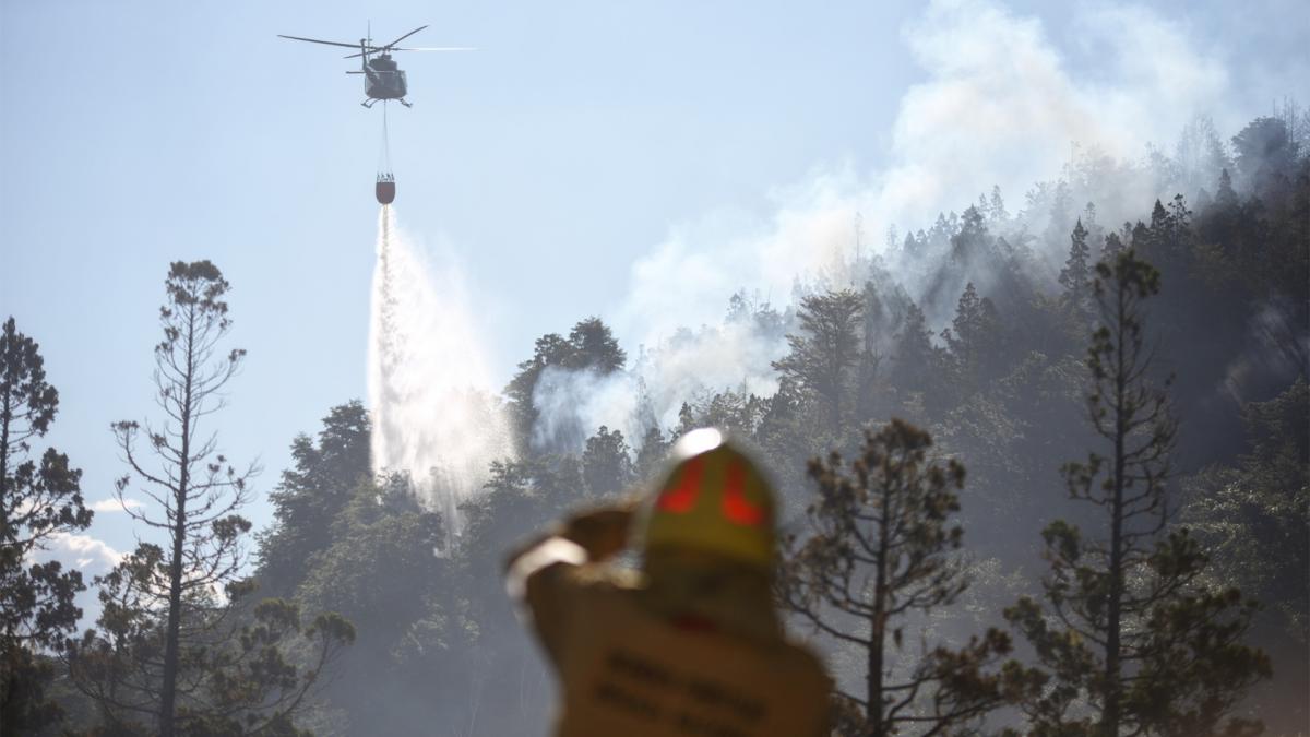 En este momento estás viendo Alerta: ya son más de 2.000 las hectáreas quemadas en el Parque Nacional Los Alerces