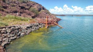 Lee más sobre el artículo Salud advierte sobre la presencia de cianobacterias o algas verdeazules en aguas recreativas