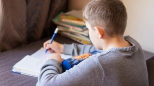 Lee más sobre el artículo Cambios en la «Ley ómnibus»: negaron que se incluya el «homeschooling»