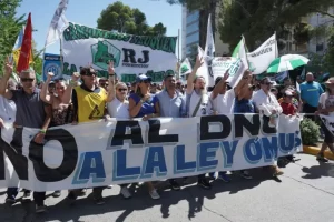 Lee más sobre el artículo Una multitud se movilizó contra la Ley Ómnibus y el DNU en Neuquén