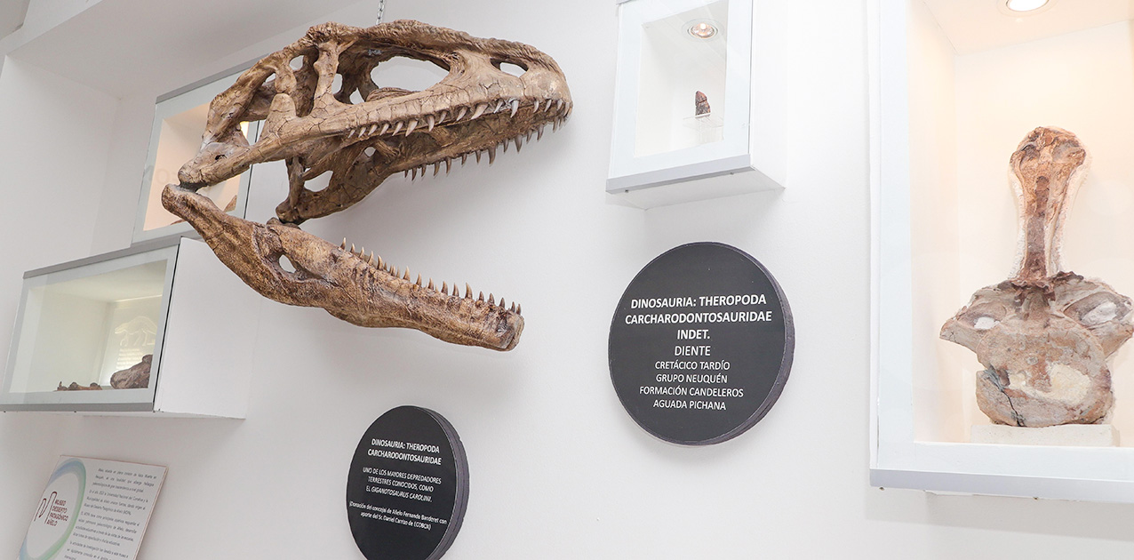 En este momento estás viendo Un paseo imperdible por el Museo del Desierto de Añelo