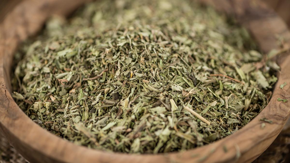 En este momento estás viendo Un científico expondrá en Estados Unidos sobre la posibilidad de generar yerba descafeinada