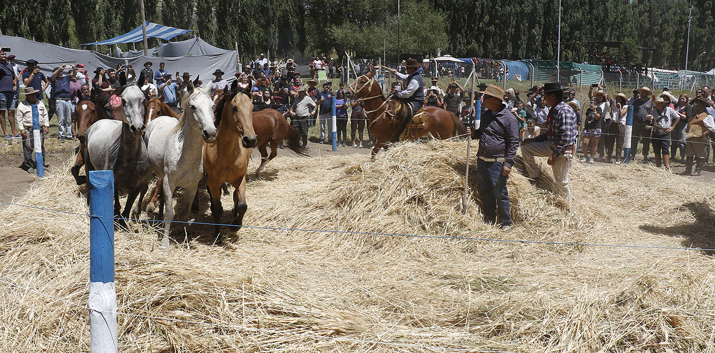 En este momento estás viendo Las tradiciones iniciaron su festejo en El Cholar