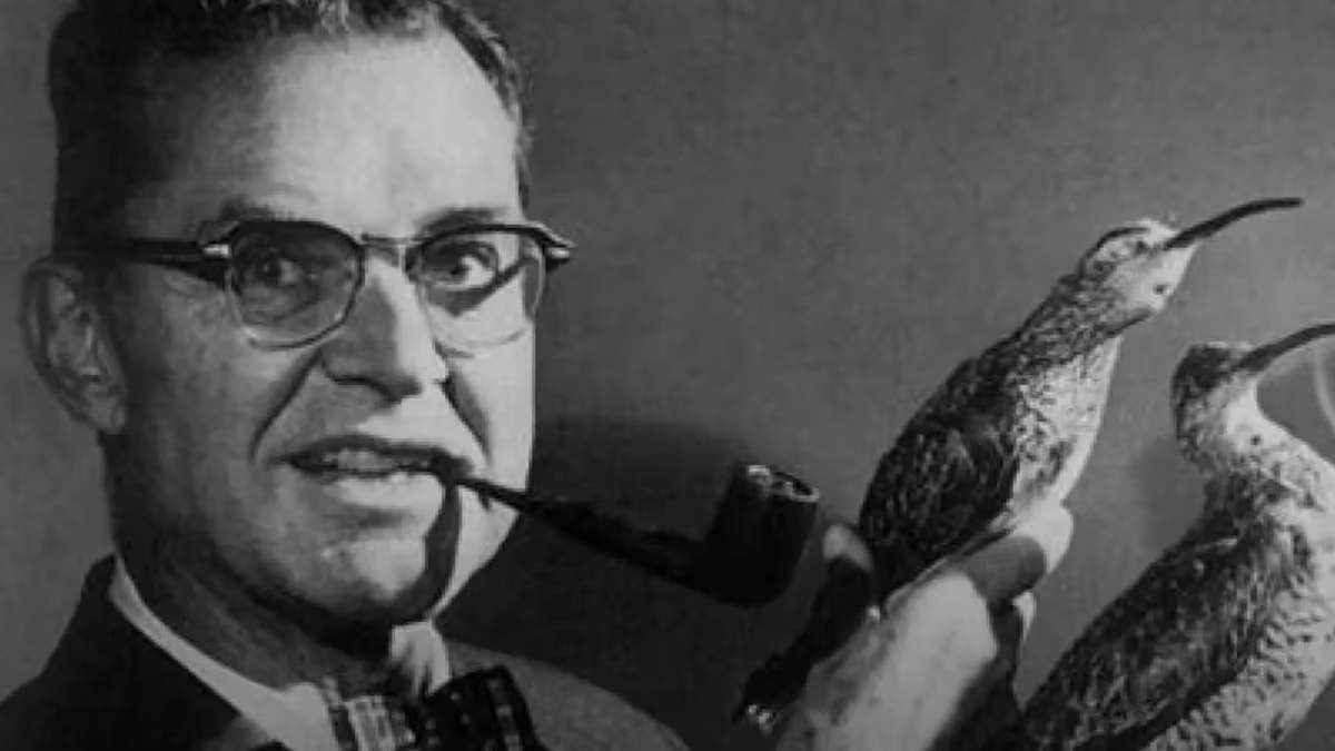 En este momento estás viendo La increíble historia del verdadero James Bond, el experto en aves que a su pesar le prestó el nombre a 007