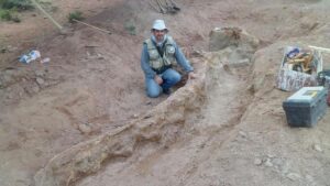 Lee más sobre el artículo El Conicet identificó evidencias de tres enfermedades en dinosaurios de la Patagonia