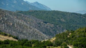 Lee más sobre el artículo Incendios en la Patagonia andina: por qué los expertos prevén cada vez más fuego