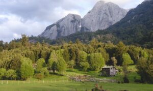 Lee más sobre el artículo Iniciativa millonaria para crear área protegida entre Argentina y Chile