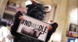 Lee más sobre el artículo Colombia da la estocada final a las corridas de toros