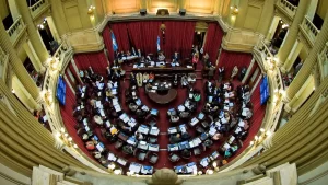 Lee más sobre el artículo Con represión en la calle, La Libertad Avanza consiguió en el Senado media sanción del proyecto de ley de Inviolabilidad de la Propiedad Privada