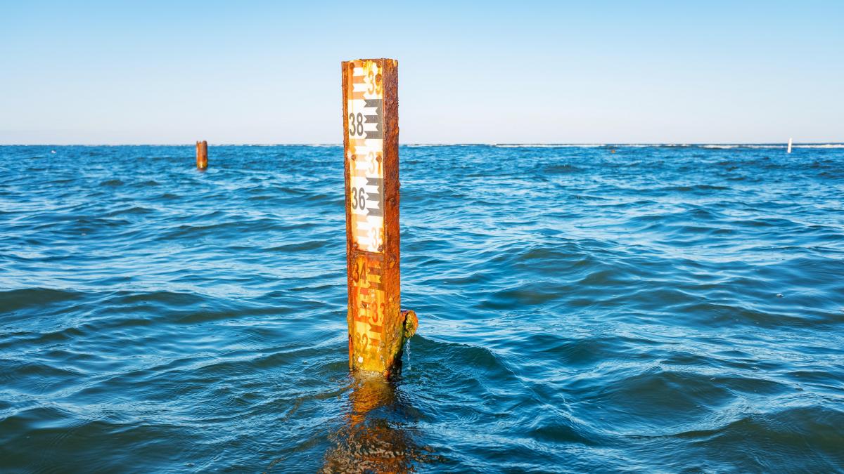 Lee más sobre el artículo Derretimiento Antártico acelerado: Clave para el aumento del nivel del mar