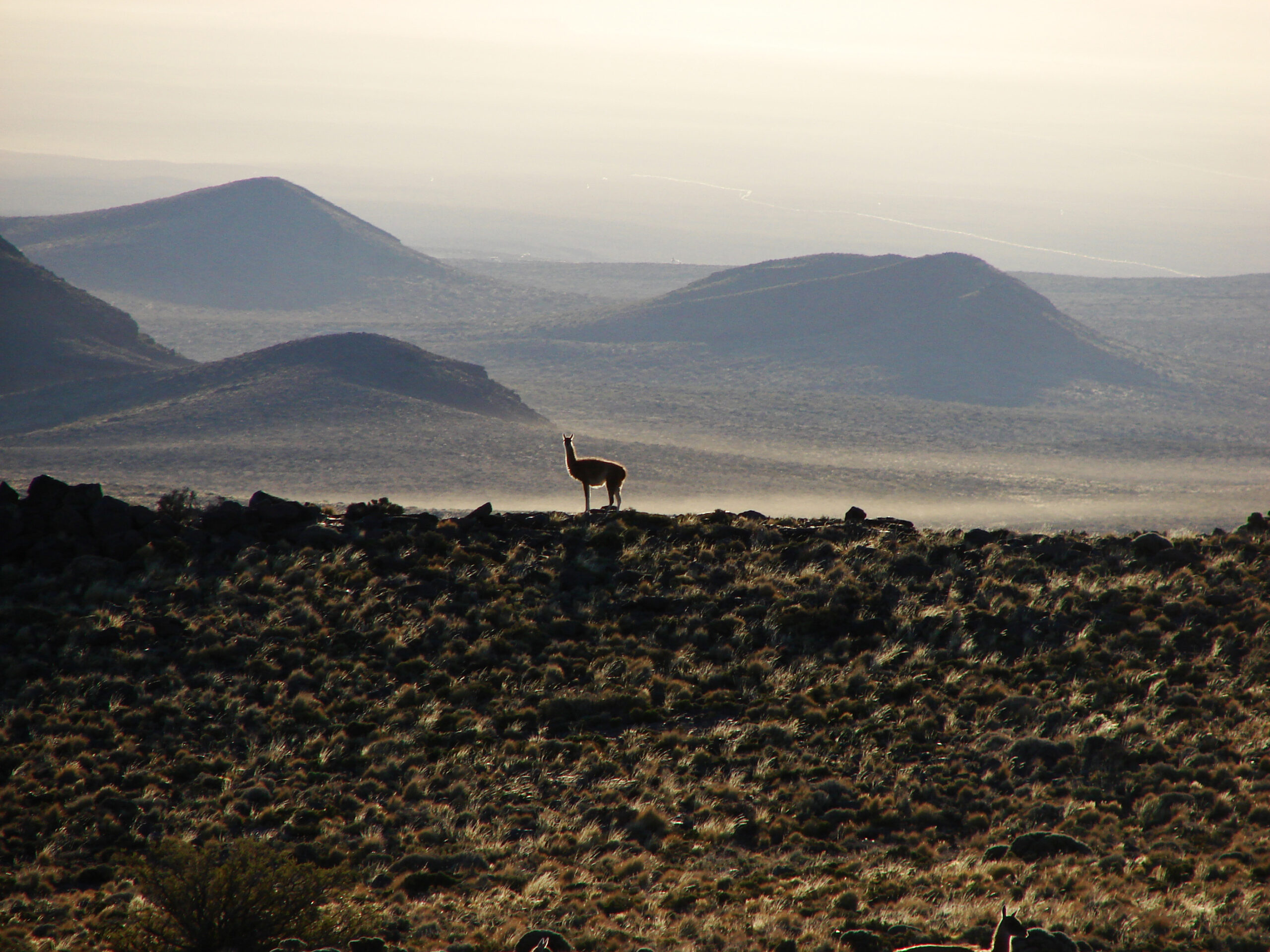 En este momento estás viendo Sismos en Vaca Muerta: Nueva actividad en un lugar «inédito» después de la Copa América