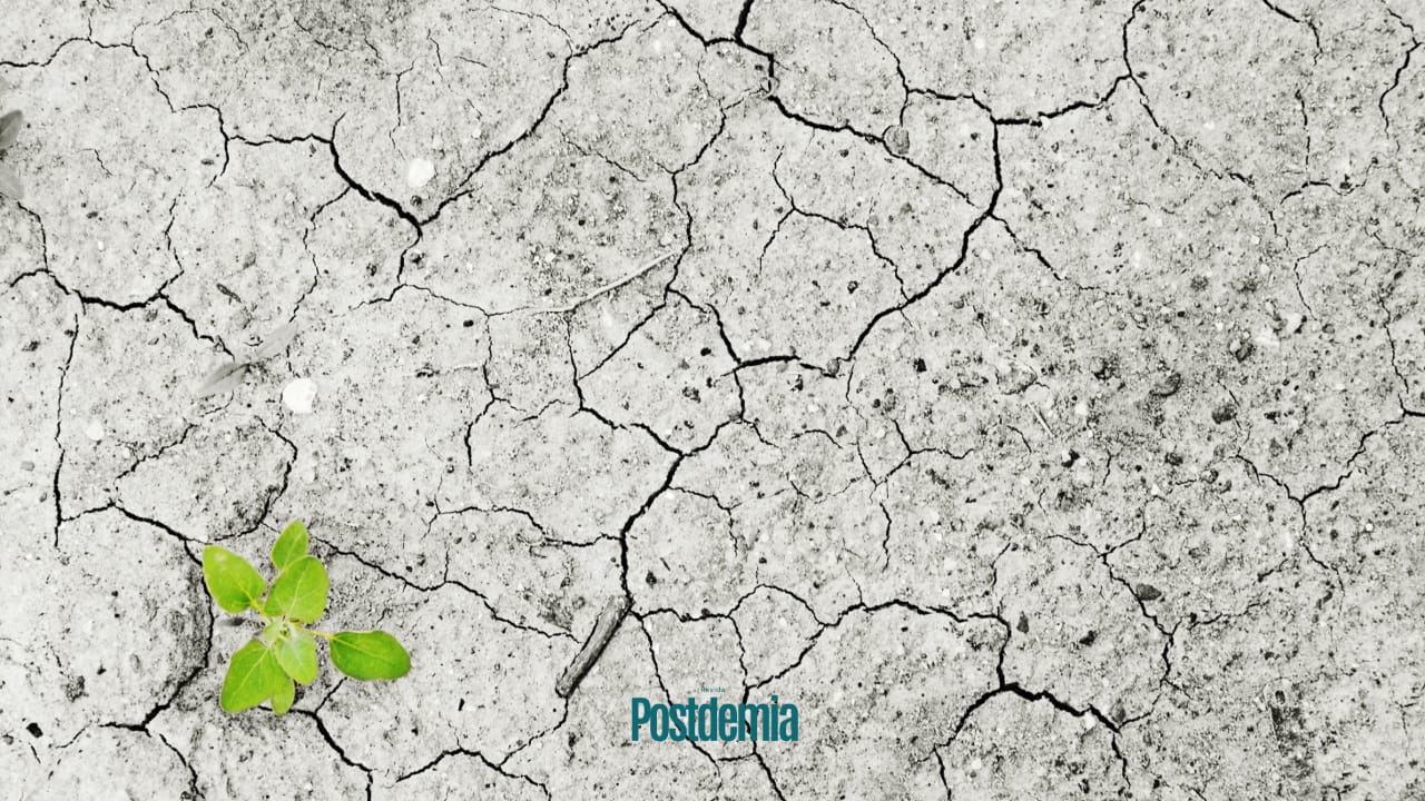 En este momento estás viendo ES URGENTE LA NECESIDAD DE UNA ESTRATEGIA COLABORATIVA DE ADAPTACIÓN A LA CRISIS CLIMÁTICA EN LOS VALLES NORPATAGÓNICOS