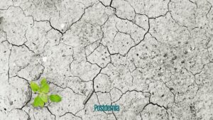 Lee más sobre el artículo ES URGENTE LA NECESIDAD DE UNA ESTRATEGIA COLABORATIVA DE ADAPTACIÓN A LA CRISIS CLIMÁTICA EN LOS VALLES NORPATAGÓNICOS