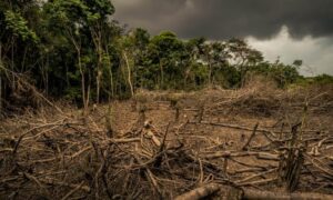 Lee más sobre el artículo Informe de la ONU advirtió sobre los riesgos de la triple crisis ambiental, tecnológica y social