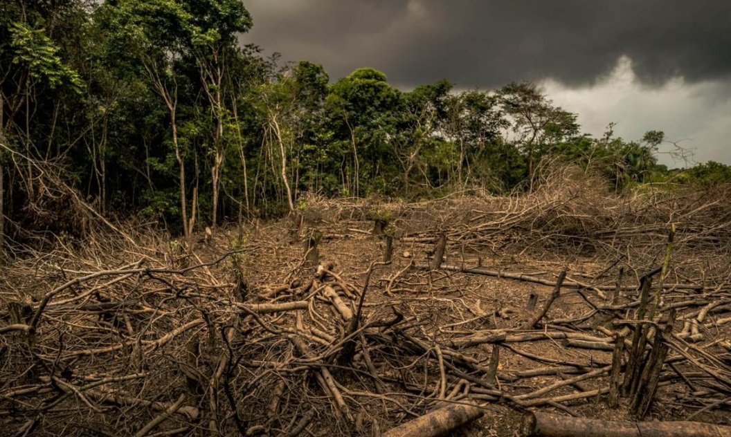 En este momento estás viendo Informe de la ONU advirtió sobre los riesgos de la triple crisis ambiental, tecnológica y social