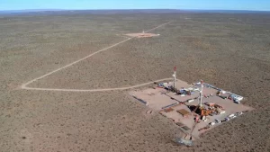 Lee más sobre el artículo Vaca Muerta Net Zero: El foro de discusión ambiental