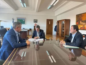 Lee más sobre el artículo Río Negro y Neuquén participarán en la venta de las represas hidroeléctricas