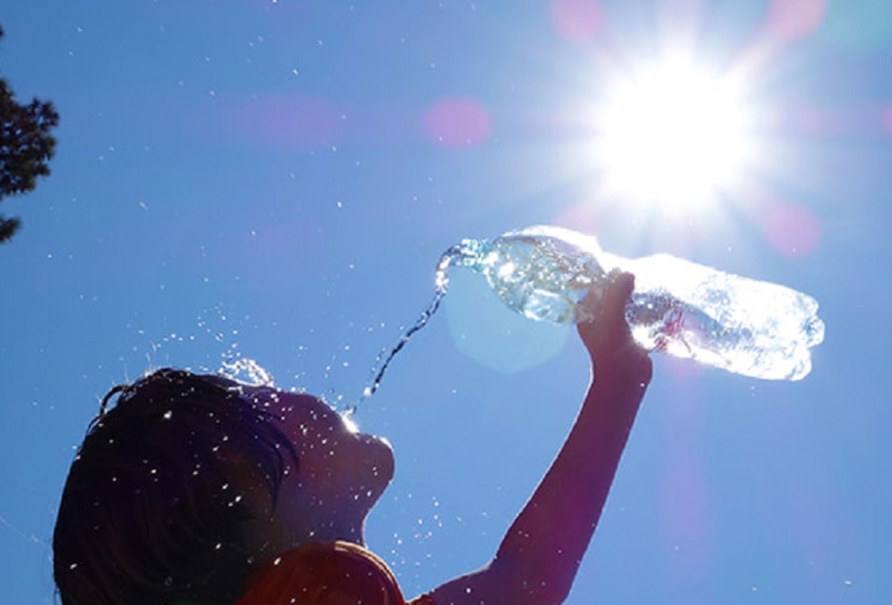 Lee más sobre el artículo Las olas de calor agravan la contaminación por ozono
