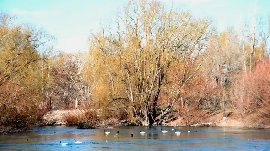 En este momento estás viendo Tres empresas presentaron ofertas para el Paseo de la Costa en el sector del club Independiente