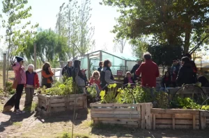 Lee más sobre el artículo Capacitación gratuita en Río Negro y Neuquén: Oportunidades para mejorar tus habilidades