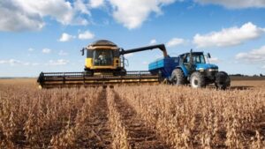 Lee más sobre el artículo Guerra del campo: El gobierno presiona por dólares mientras los productores acumulan 13 mil millones