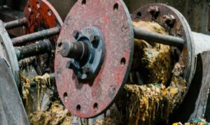 Lee más sobre el artículo Corea del Sur transforma el 98% de la basura en energía y abono