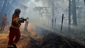 Lee más sobre el artículo Estado de desastre en Córdoba: Llaryora anuncia fondos y detención por incendio forestal