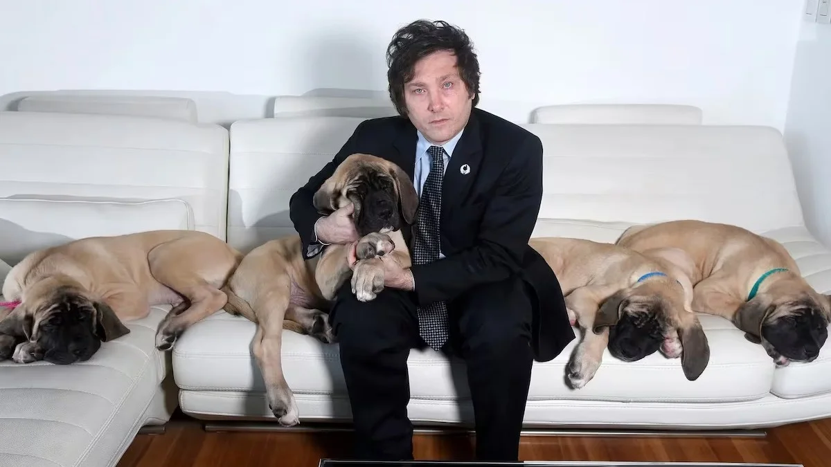 En este momento estás viendo Cláusula Conan: Milei modificó la Ley de acceso a la información pública