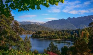 Lee más sobre el artículo Los bosques de la Patagonia Chilena: Un tesoro de carbono revelado por la NASA