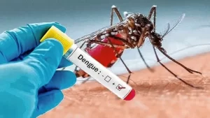 Lee más sobre el artículo Neuquén en alerta ante la posible llegada del dengue: vacunas aún no disponibles