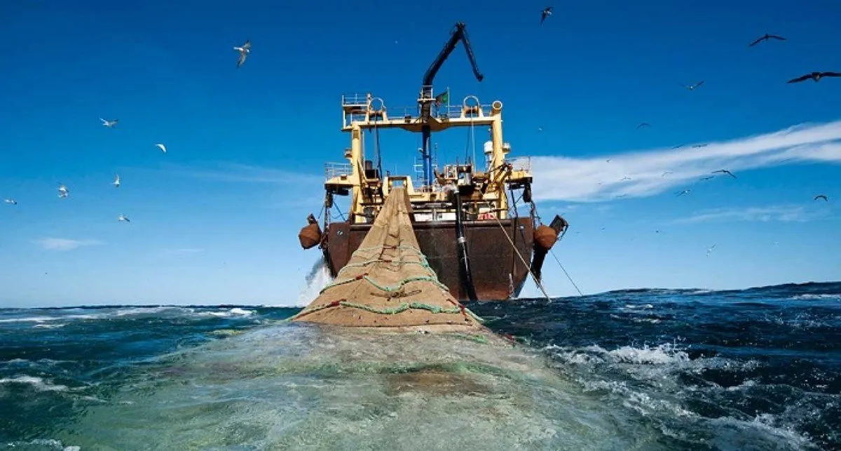 Lee más sobre el artículo El lado oscuro de la pesca China en Argentina: Amenazas y desafíos