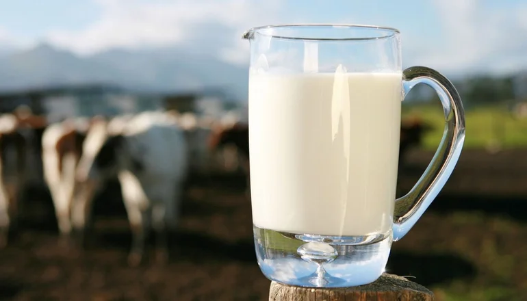 Lee más sobre el artículo Crisis láctea en Argentina: El consumo de leche cayó un 12% en septiembre