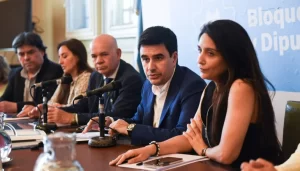 Lee más sobre el artículo Impulso a juicio político contra Diana Mondino por su postura sobre Malvinas