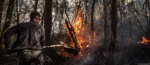 Lee más sobre el artículo Brasil busca endurecer penas contra delitos ambientales