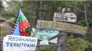 Lee más sobre el artículo Tino Nawel: Comunidad Paicil Antriao rechaza fallo judicial y reafirma la defensa del territorio ancestral