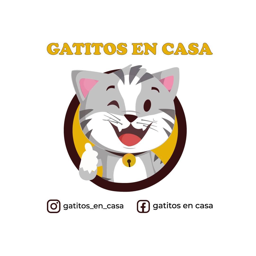 Lee más sobre el artículo Gatitos en Casa: Solidaridad y lucha por el bienestar animal en Neuquén