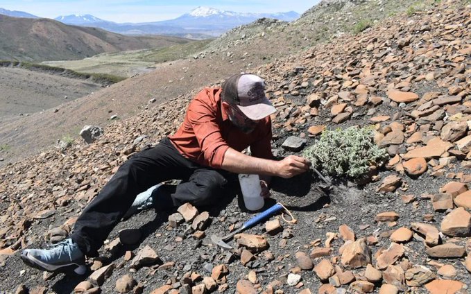 Lee más sobre el artículo Mateo Gutierrez: Hallazgo de fósiles marinos en Neuquén revela 180 millones de años de historia